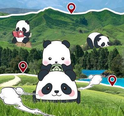 Ȥ | ʹXPanda Roll ƿС